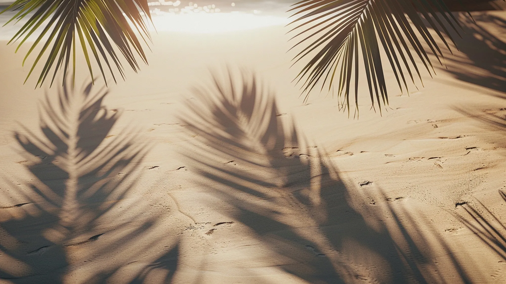 f9355d7f7a0c7b90 Cape Hayat — Mina Al Arab