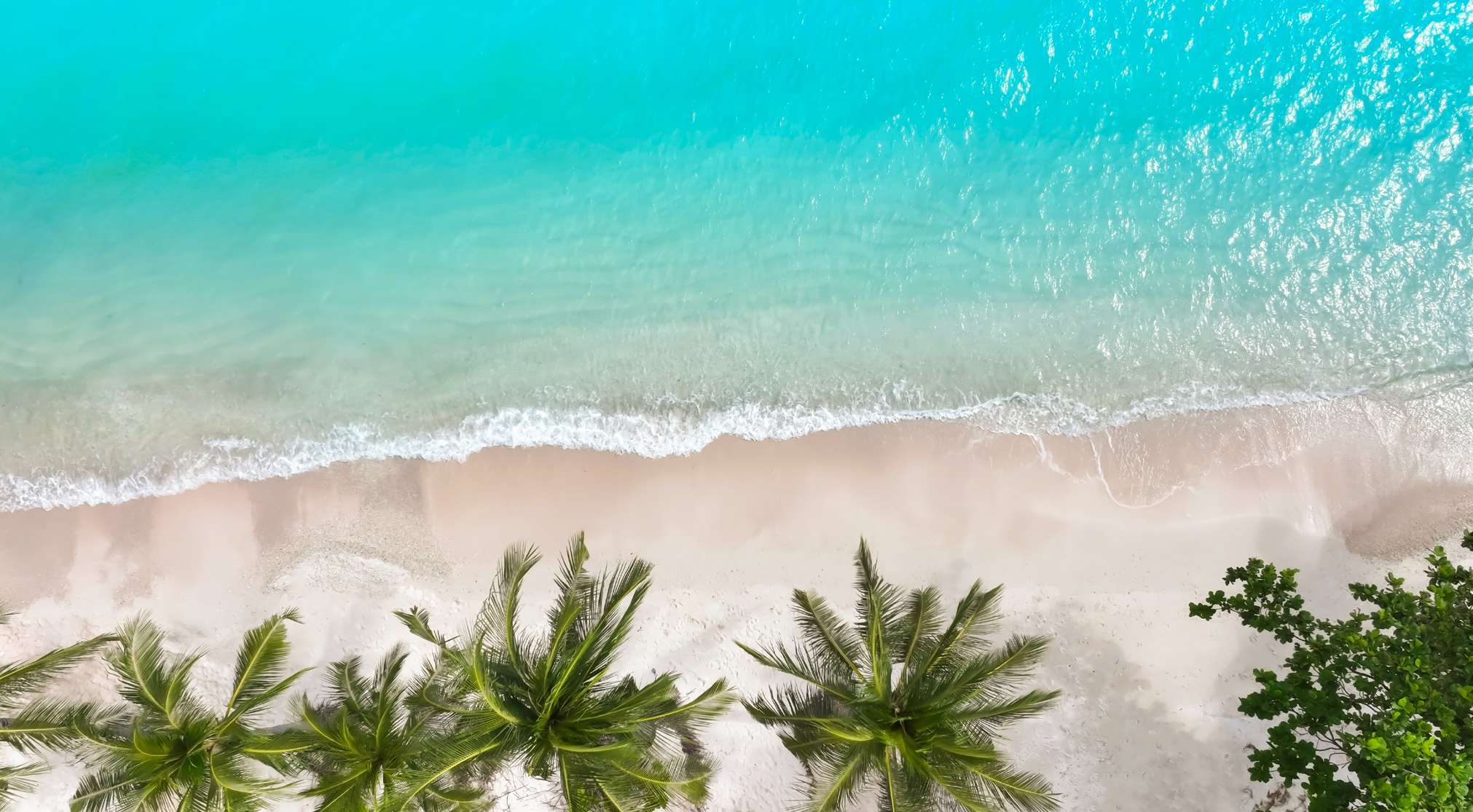 Hayat Island beachfront setting at Mina Al Arab